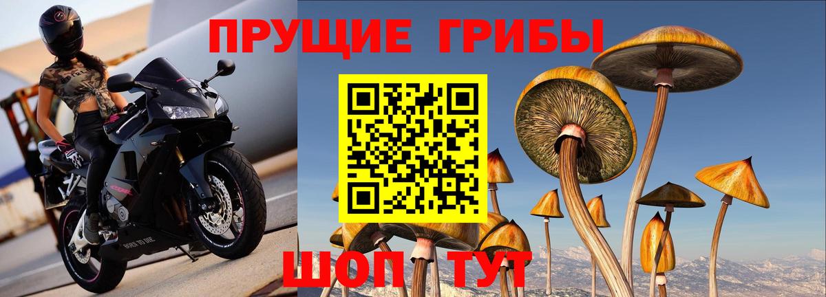 Галлюциногенные грибы мухоморы Ноябрьск